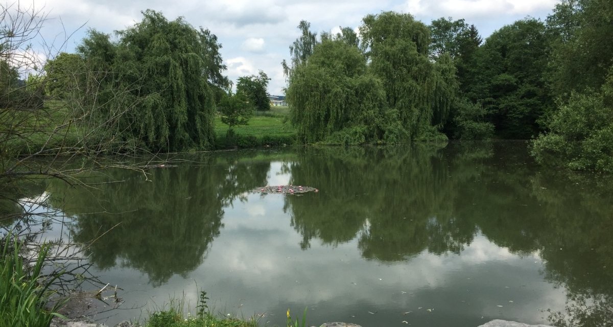 Ein idyllischer See mit ruhigem Wasser, umgeben von üppigen Bäumen und einem bewölkten Himmel. Die Natur spiegelt sich im Wasser wider., © www.pro-cycl.de Ein idyllischer See mit ruhigem Wasser, umgeben von üppigen Bäumen und einem bewölkten Himmel. Die Natur spiegelt sich im Wasser wider., © www.pro-cycl.de