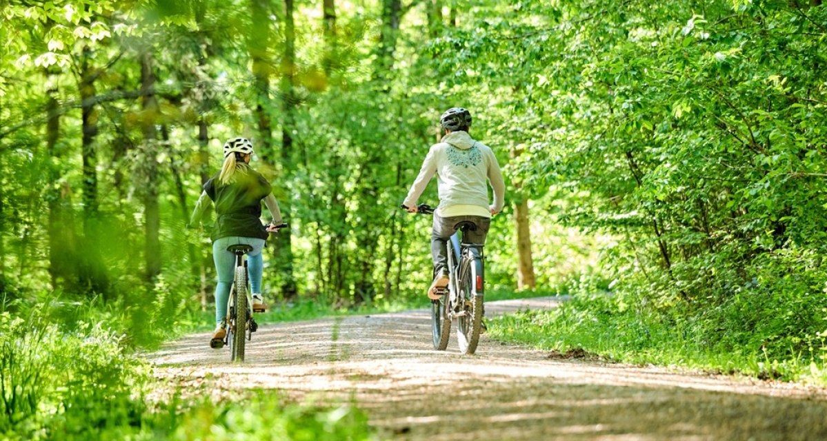 Radweg, Ebnisee, © SWT Radweg, Ebnisee, © SWT