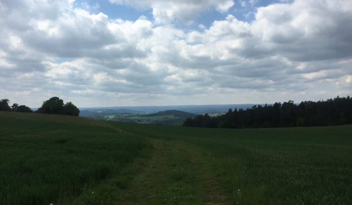Grüne Wiesen und ein schmaler Pfad führen zu einem bewaldeten Horizont unter einem bewölkten Himmel am Kenlenberg., © www.pro-cycl.de Grüne Wiesen und ein schmaler Pfad führen zu einem bewaldeten Horizont unter einem bewölkten Himmel am Kenlenberg., © www.pro-cycl.de