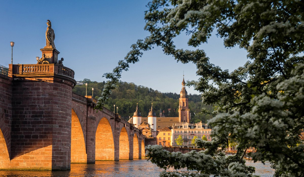 Die Alte Brücke in Heidelberg, umrahmt von blühenden Bäumen, mit Blick auf die Stadt und den Neckar im Abendlicht., © Tobias Schwerdt Die Alte Brücke in Heidelberg, umrahmt von blühenden Bäumen, mit Blick auf die Stadt und den Neckar im Abendlicht., © Tobias Schwerdt