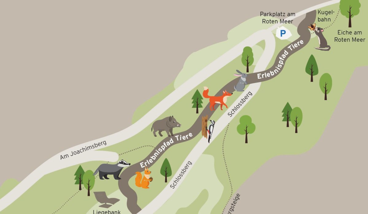 Karte des Tiererlebnispfads am Schlossberg mit illustrierten Tieren wie Fuchs, Hase und Wildschwein. Wege und Sehenswürdigkeiten sind markiert., © KFS Studio
