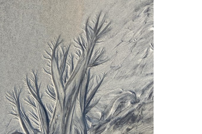 Detailaufnahme von Sandmustern, die an Bäume erinnern. Die Strukturen wirken organisch und verzweigt., © PlochingenInfo Detailaufnahme von Sandmustern, die an Bäume erinnern. Die Strukturen wirken organisch und verzweigt., © PlochingenInfo