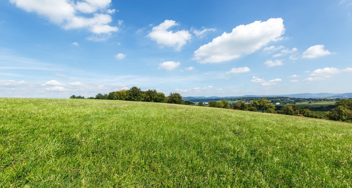 Weite grüne Wiese unter einem klaren blauen Himmel mit vereinzelten weißen Wolken. Im Hintergrund sind Bäume und Hügel zu sehen., © Landkreis Göppingen Weite grüne Wiese unter einem klaren blauen Himmel mit vereinzelten weißen Wolken. Im Hintergrund sind Bäume und Hügel zu sehen., © Landkreis Göppingen