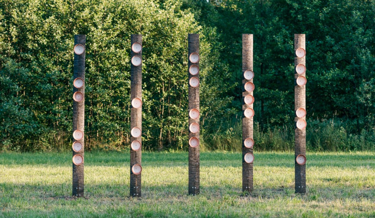 Sechs Holzpfähle mit Keramikschalen sind in einer Reihe auf einer Wiese aufgestellt. Im Hintergrund sind grüne Bäume zu sehen., © Natur.Nah. Schönbuch & Heckengäu Sechs Holzpfähle mit Keramikschalen sind in einer Reihe auf einer Wiese aufgestellt. Im Hintergrund sind grüne Bäume zu sehen., © Natur.Nah. Schönbuch & Heckengäu