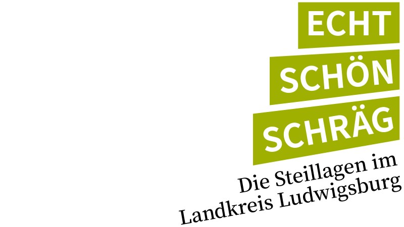 echt.schön.schräg