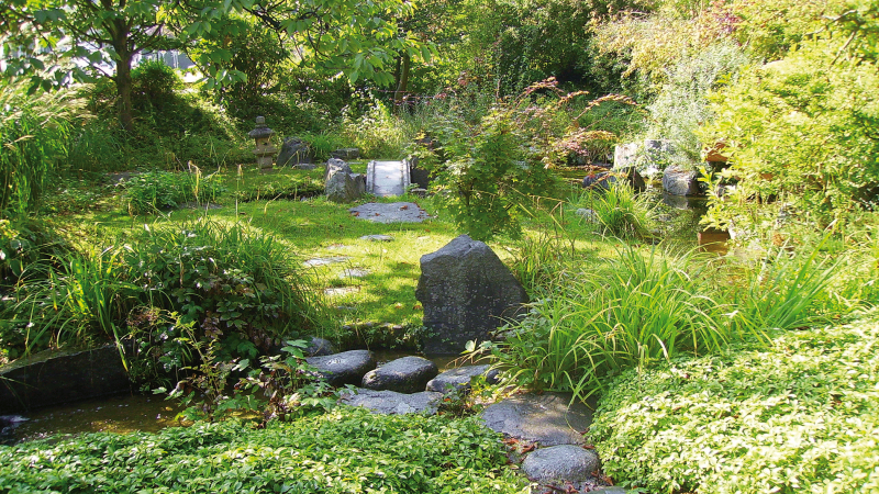 Ein üppiger Japangarten mit grünen Pflanzen, Steinen und einem kleinen Teich. Im Hintergrund sind Bäume und ein Steinlaterne sichtbar., © Stuttgart-Marketing GmbH