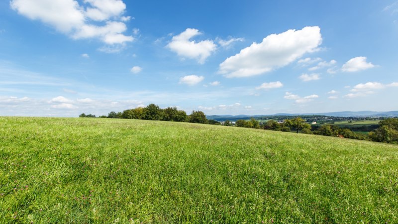 Weite grüne Wiese unter einem klaren blauen Himmel mit vereinzelten weißen Wolken. Im Hintergrund sind Bäume und Hügel zu sehen., © Landkreis Göppingen Weite grüne Wiese unter einem klaren blauen Himmel mit vereinzelten weißen Wolken. Im Hintergrund sind Bäume und Hügel zu sehen., © Landkreis Göppingen