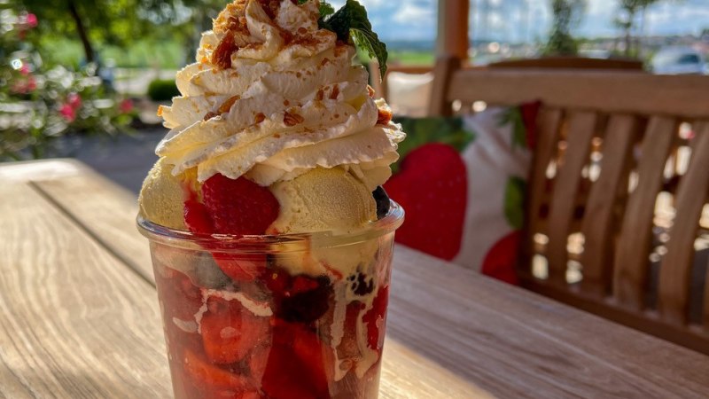 Ein Eisbecher mit Sahne, Erdbeeren und Streuseln steht auf einem Holztisch im Freien. Im Hintergrund sind Bäume und ein blauer Himmel zu sehen., © Engel/ Rammerthof Ein Eisbecher mit Sahne, Erdbeeren und Streuseln steht auf einem Holztisch im Freien. Im Hintergrund sind Bäume und ein blauer Himmel zu sehen., © Engel/ Rammerthof