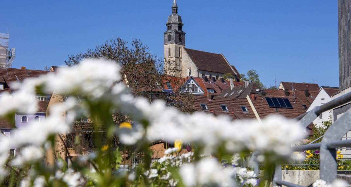 Kirche mit Turm &uuml;ber den D&auml;chern einer Stadt, im Vordergrund wei&szlig;e Blumen. Blauer Himmel, sonniger Tag., &copy; Stuttgart Marketing GmbH Achim Mende