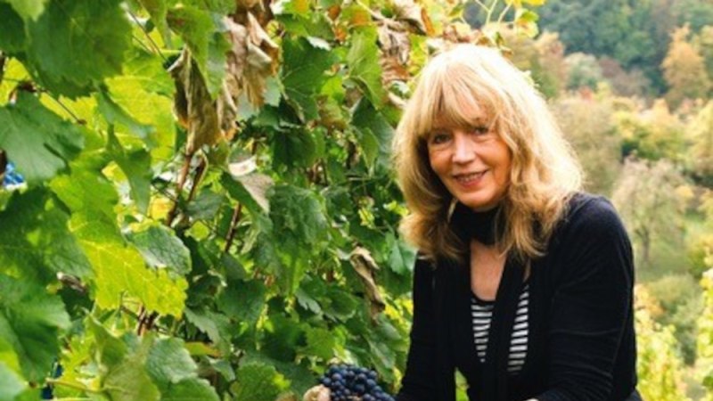 Eine Frau mit blonden Haaren erntet Trauben in einem grünen Weinberg. Sie trägt Handschuhe und lächelt in die Kamera., © Elsbeth Koch Eine Frau mit blonden Haaren erntet Trauben in einem grünen Weinberg. Sie trägt Handschuhe und lächelt in die Kamera., © Elsbeth Koch