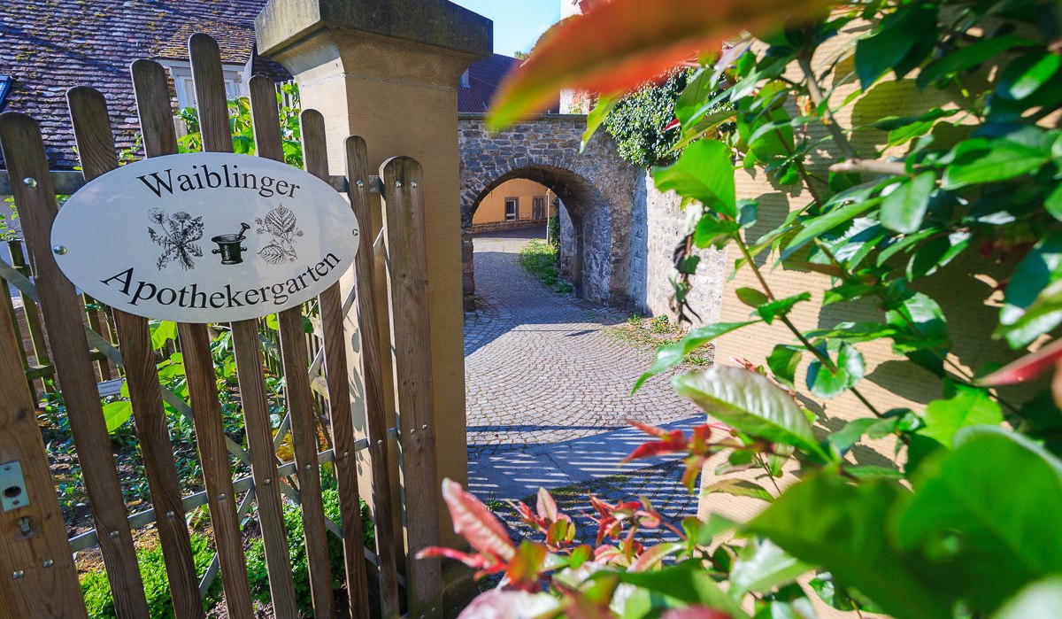 Ein schmuckes Holztor unter einem historischen Steinbogen markiert den stimmungsvollen Eingang zum Waiblinger Apothekergarten. Der Zugang wirkt wie ein kleines Portal in eine grüne Oase voller Heilpflanzen, Düfte und Ruhe mitten in der Stadt.