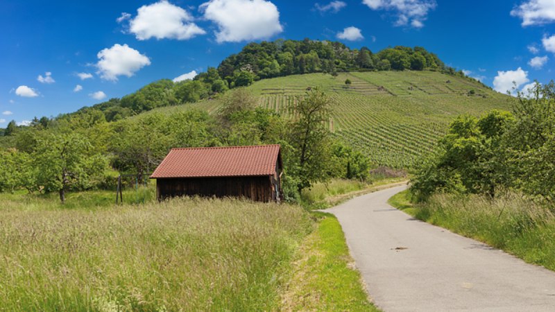 Ein kleines Holzhaus mit rotem Dach steht auf einer Wiese. Im Hintergrund sind Weinberge und ein bewaldeter H&uuml;gel zu sehen. Ein Weg f&uuml;hrt durch die Landschaft.