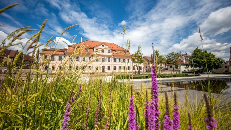 Ein historisches Gebäude in Bönnigheim, umgeben von blühenden Pflanzen und einem klaren blauen Himmel im Hintergrund., © Stadt Bönnigheim Ein historisches Gebäude in Bönnigheim, umgeben von blühenden Pflanzen und einem klaren blauen Himmel im Hintergrund., © Stadt Bönnigheim