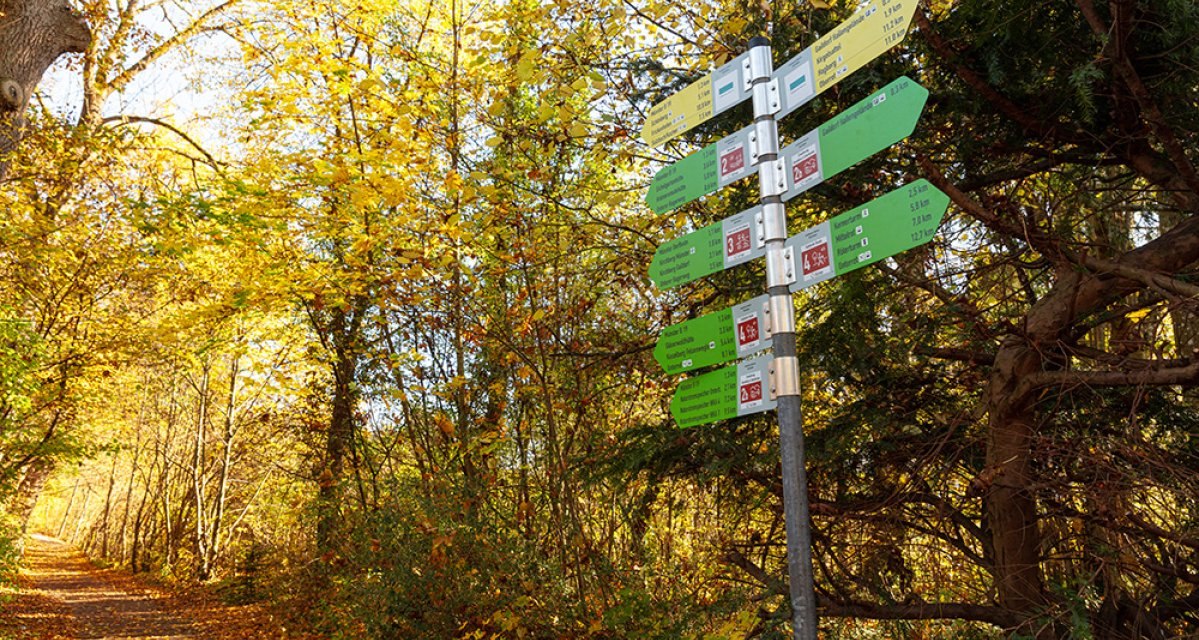 Ein Wegweiser im herbstlichen Wald von Gaildorf, umgeben von gelb gefärbten Bäumen und einem Laub bedeckten Pfad. Ein Wegweiser im herbstlichen Wald von Gaildorf, umgeben von gelb gefärbten Bäumen und einem Laub bedeckten Pfad.