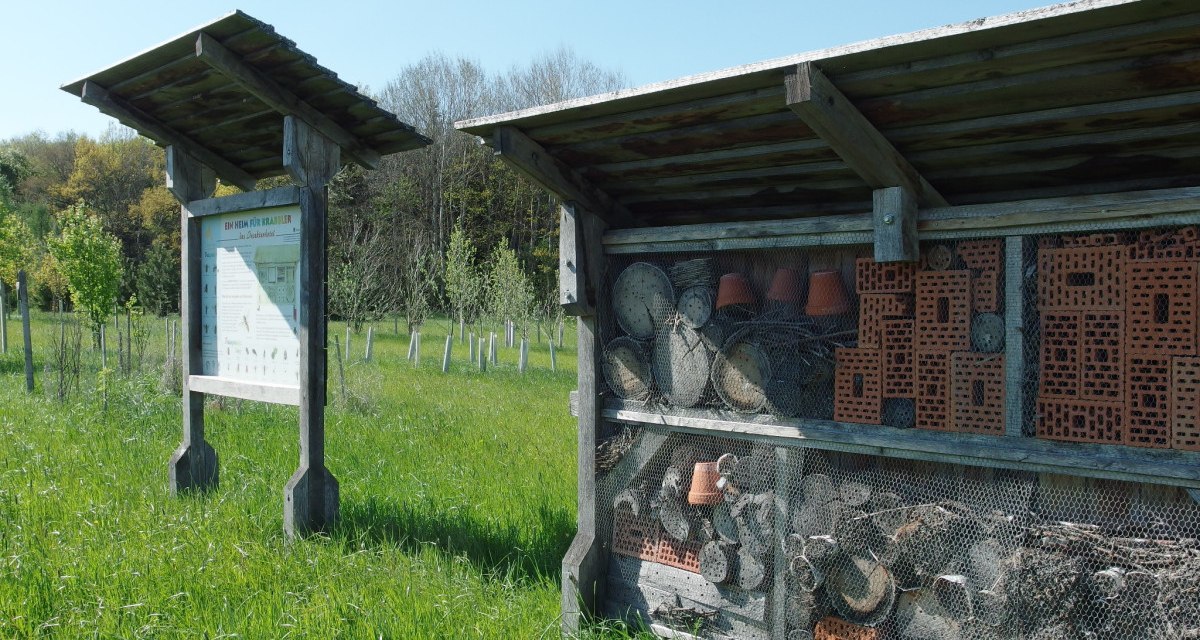 Ein Insektenhotel und eine Infotafel stehen auf einer grünen Wiese im Arboretum Bondorf. Im Hintergrund sind Bäume zu sehen., © Natur.Nah. Schönbuch & Heckengäu Ein Insektenhotel und eine Infotafel stehen auf einer grünen Wiese im Arboretum Bondorf. Im Hintergrund sind Bäume zu sehen., © Natur.Nah. Schönbuch & Heckengäu