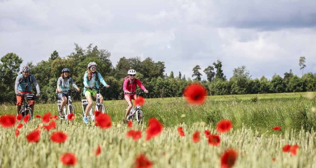 Vier Radfahrer fahren durch eine grüne Landschaft, umgeben von rotem Mohn und Bäumen im Hintergrund., © Schwäbische Alb Tourismusverband e.V. Vier Radfahrer fahren durch eine grüne Landschaft, umgeben von rotem Mohn und Bäumen im Hintergrund., © Schwäbische Alb Tourismusverband e.V.