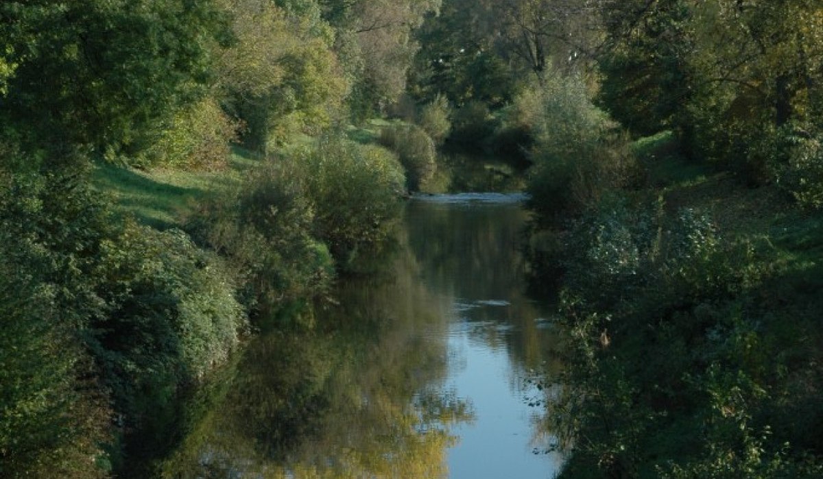 Ein ruhiger Flusslauf der Rems, umgeben von üppigem Herbstlaub und reflektierendem Wasser unter klarem Himmel., © Aktiv-Region Stuttgart Ein ruhiger Flusslauf der Rems, umgeben von üppigem Herbstlaub und reflektierendem Wasser unter klarem Himmel., © Aktiv-Region Stuttgart