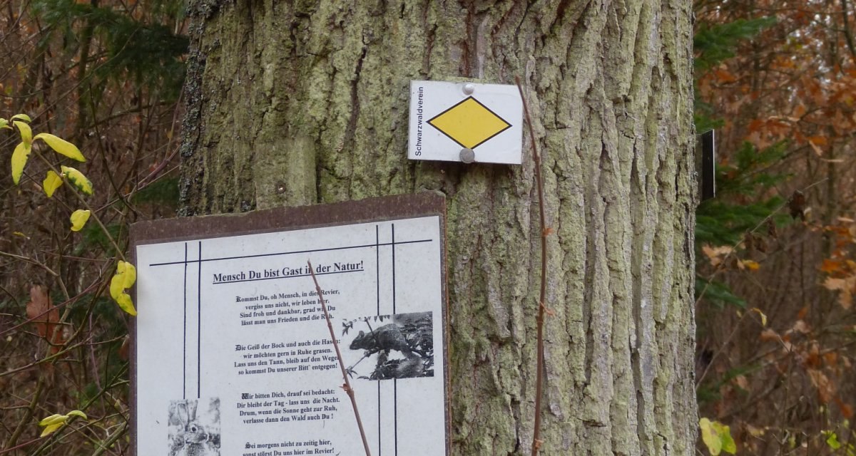 Ein Baum mit einem Radweg-Schild, einer gelben Raute und einem Hinweis zur Natur. Herbstliche Umgebung mit Laub im Hintergrund., © Natur.Nah. Schönbuch & Heckengäu Ein Baum mit einem Radweg-Schild, einer gelben Raute und einem Hinweis zur Natur. Herbstliche Umgebung mit Laub im Hintergrund., © Natur.Nah. Schönbuch & Heckengäu