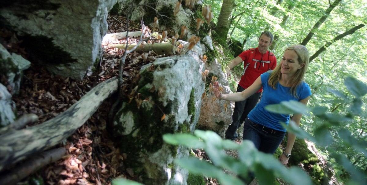 Zwei Personen wandern auf einem schmalen Waldpfad, umgeben von Felsen und Laub. Die Umgebung ist grün und dicht bewachsen., © Bad Urach Tourismus