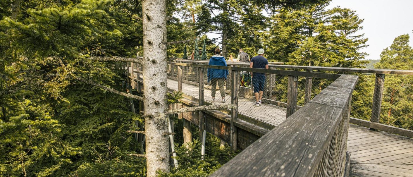 Menschen auf einem Holzsteg im Baumwipfelpfad Bad Wildbad, umgeben von grünen Bäumen., © Stuttgart-Marketing GmbH, Sarah Schmid Menschen auf einem Holzsteg im Baumwipfelpfad Bad Wildbad, umgeben von grünen Bäumen., © Stuttgart-Marketing GmbH, Sarah Schmid