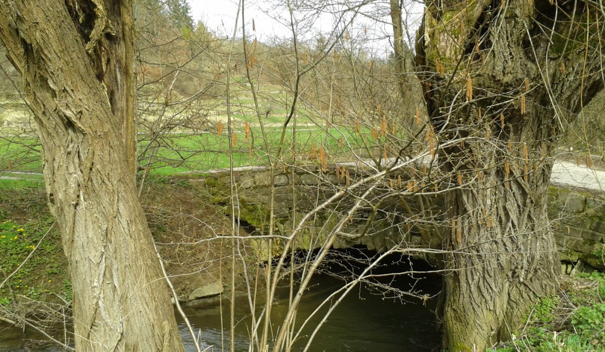 Kleiner Fluss unter alter Steinbrücke, umgeben von kahlen Bäumen und grünem Gras., © Natur.Nah. Schönbuch & Heckengäu Kleiner Fluss unter alter Steinbrücke, umgeben von kahlen Bäumen und grünem Gras., © Natur.Nah. Schönbuch & Heckengäu