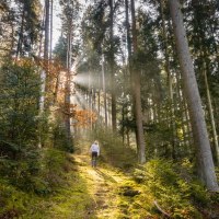 &copy; N&ouml;rdlicher Schwarzwald