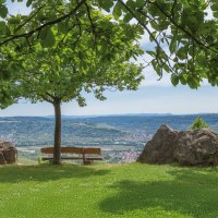Eine Bank unter einem Baum bietet einen malerischen Blick auf eine grüne, hügelige Landschaft. Große Felsen rahmen die Szene ein. Eine Bank unter einem Baum bietet einen malerischen Blick auf eine grüne, hügelige Landschaft. Große Felsen rahmen die Szene ein.