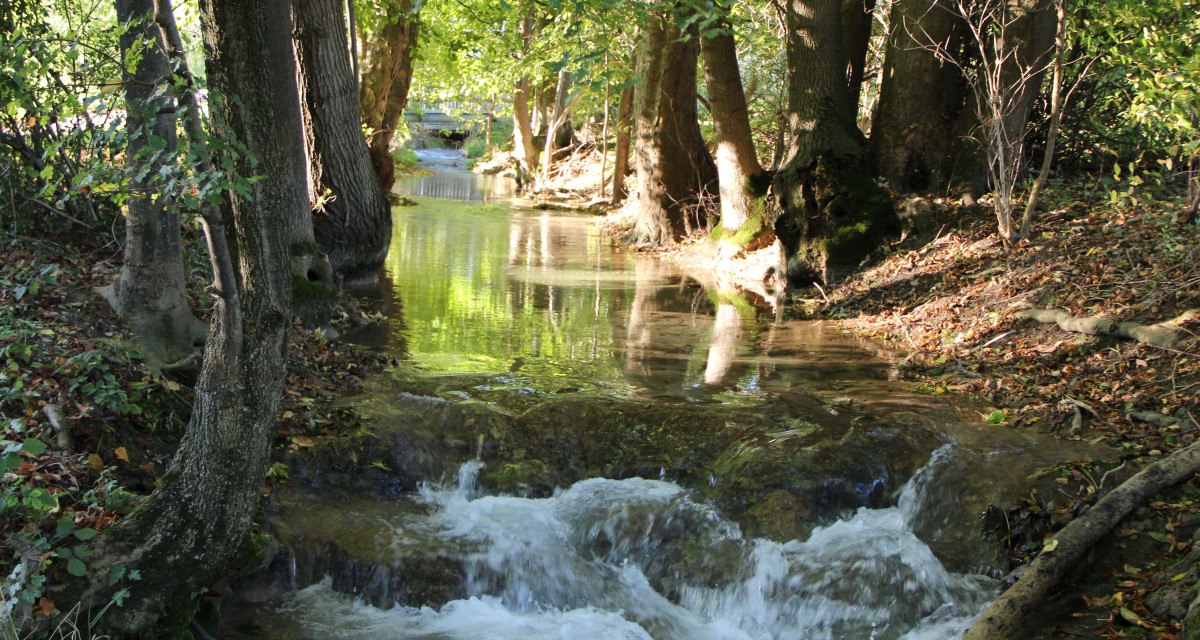 Ein klarer Bach fließt durch einen Wald, umgeben von Bäumen und grünem Laub. Sonnenlicht fällt durch die Blätter und spiegelt sich im Wasser., © Bad Urach Tourismus Ein klarer Bach fließt durch einen Wald, umgeben von Bäumen und grünem Laub. Sonnenlicht fällt durch die Blätter und spiegelt sich im Wasser., © Bad Urach Tourismus
