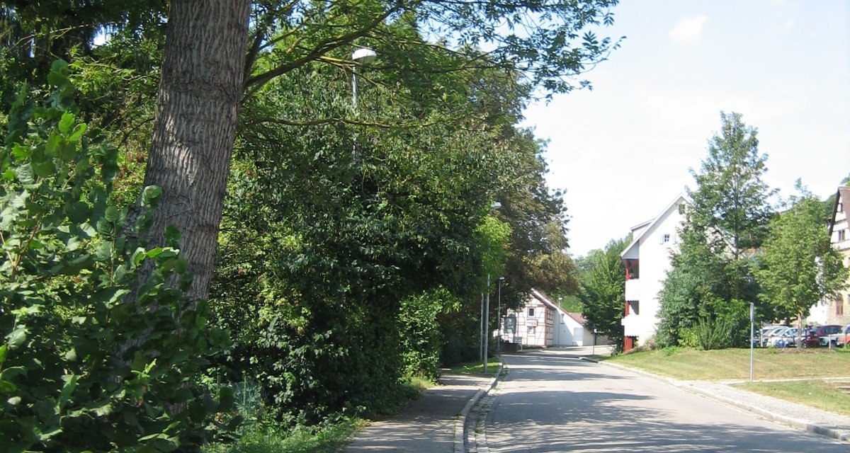 Ein schattiger Gehweg verläuft parallel zu einer Straße, gesäumt von Bäumen und Sträuchern. Im Hintergrund sind Wohnhäuser zu sehen., © Land der 1000 Hügel - Kraichgau-Stromberg Ein schattiger Gehweg verläuft parallel zu einer Straße, gesäumt von Bäumen und Sträuchern. Im Hintergrund sind Wohnhäuser zu sehen., © Land der 1000 Hügel - Kraichgau-Stromberg