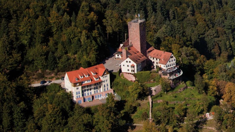 Luftaufnahme der Burg Liebenzell im Schwarzwald, umgeben von dichtem Wald. Die Burg hat einen markanten Turm und mehrere Gebäude mit roten Dächern., © Stuttgart-Marketing GmbH