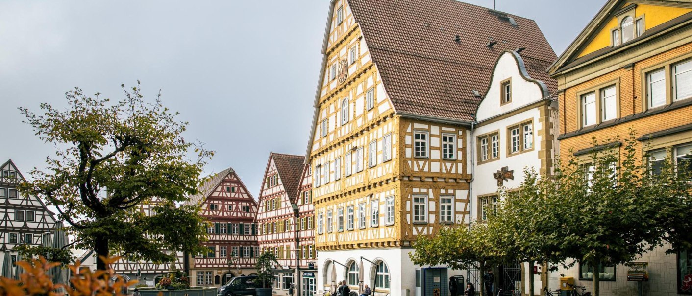 Fachwerkhäuser am Marktplatz von Leonberg. Die Gebäude sind in traditionellen Farben gehalten, umgeben von Bäumen und einem bewölkten Himmel., © Stuttgart-Marketing GmbH, Sarah Schmid Fachwerkhäuser am Marktplatz von Leonberg. Die Gebäude sind in traditionellen Farben gehalten, umgeben von Bäumen und einem bewölkten Himmel., © Stuttgart-Marketing GmbH, Sarah Schmid