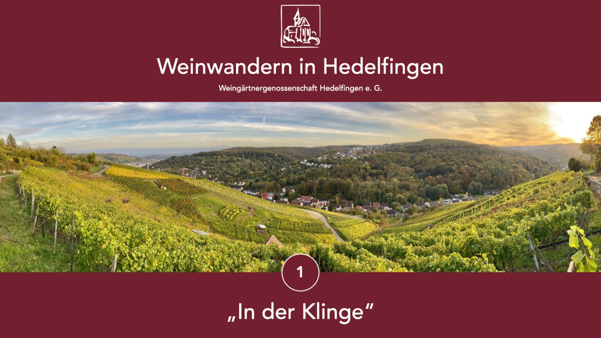 Panoramablick auf die Weinberge von Hedelfingen, umgeben von Hügeln und Häusern. Der Himmel ist leicht bewölkt, die Landschaft herbstlich grün., © Lukas Alperowitz Panoramablick auf die Weinberge von Hedelfingen, umgeben von Hügeln und Häusern. Der Himmel ist leicht bewölkt, die Landschaft herbstlich grün., © Lukas Alperowitz