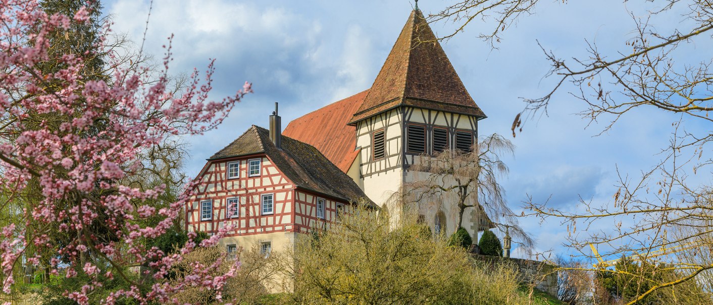 Fachwerkhaus und Kirchturm in Murrhardt, umgeben von blühenden Bäumen und blauem Himmel., © Stadt Murrhardt, Stefan Bossow