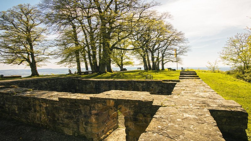 Ruinen der Burg Hohenstaufen in Göppingen, umgeben von Bäumen und grüner Wiese. Ein sonniger Tag mit klarem Himmel., © SMG, Sarah Schmid