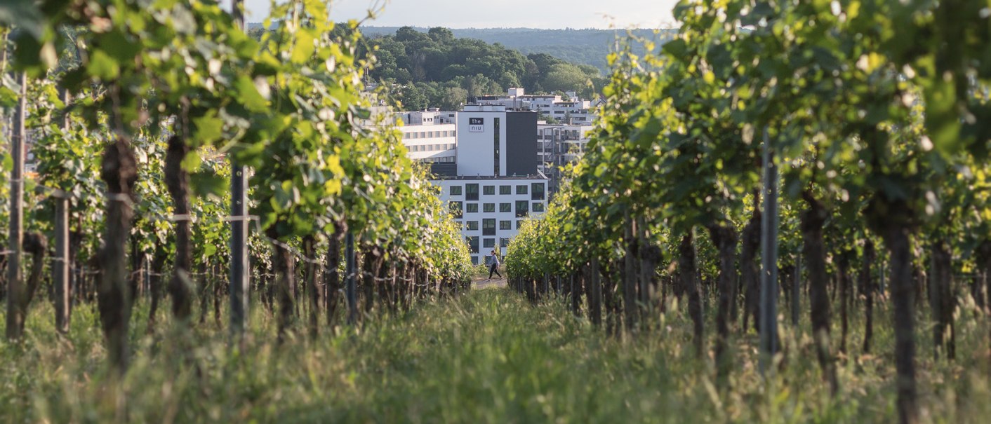 Ein moderner Gebäudekomplex ist durch Reihen von Weinreben sichtbar, die in einem grünen Weinberg wachsen., © the niu Form - Novum Hospitality