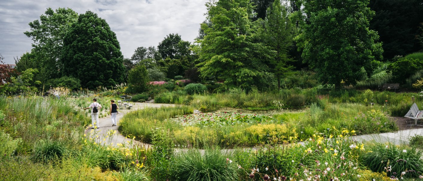 Üppiger Garten mit vielfältiger Vegetation und einem geschwungenen Weg. Zwei Personen spazieren, umgeben von Bäumen und Blumen., © HfWU, M. Stark Üppiger Garten mit vielfältiger Vegetation und einem geschwungenen Weg. Zwei Personen spazieren, umgeben von Bäumen und Blumen., © HfWU, M. Stark