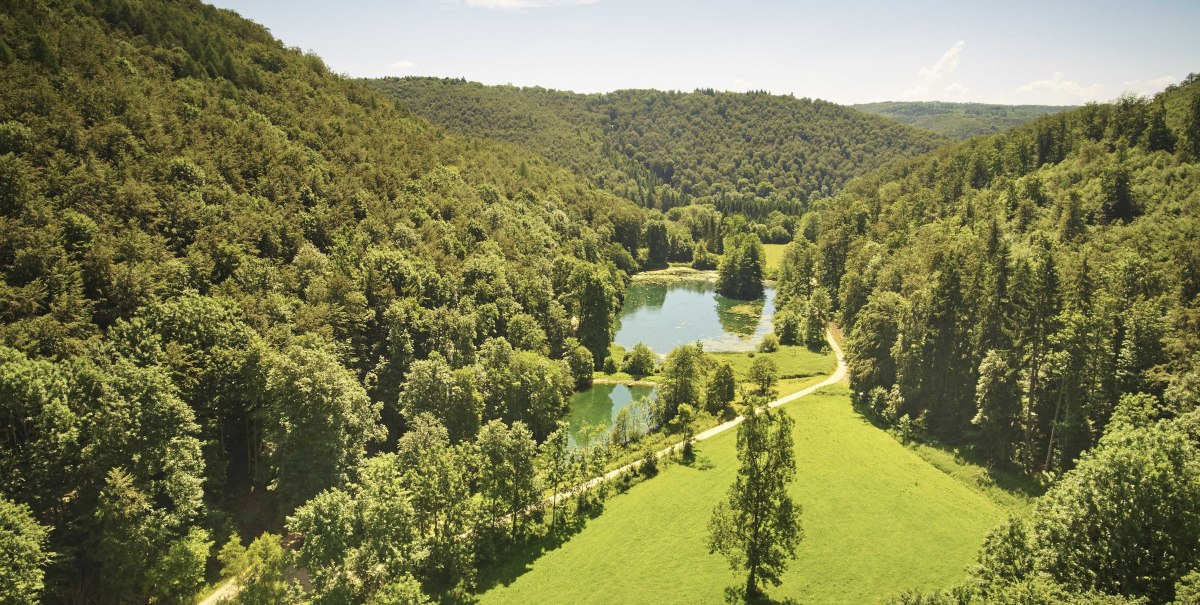 Luftaufnahme des Kaltentalweihers, umgeben von dicht bewaldeten Hügeln und grünen Wiesen unter klarem Himmel., © Stuttgart-Marketing GmbH, Winkler Luftaufnahme des Kaltentalweihers, umgeben von dicht bewaldeten Hügeln und grünen Wiesen unter klarem Himmel., © Stuttgart-Marketing GmbH, Winkler