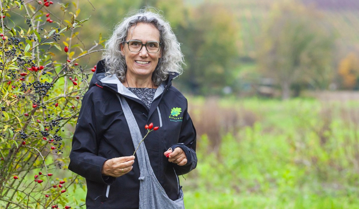 Heimische Wild- und Heilkräuter, © Stadt Bönnigheim Heimische Wild- und Heilkräuter, © Stadt Bönnigheim