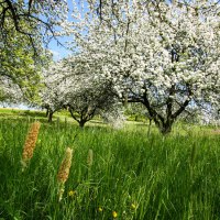 Rems-Murr-Wanderweg - Etappe 2: Winnenden-Rudersberg - Wanderweg:Regionaler Wanderweg mit Start in Winnenden