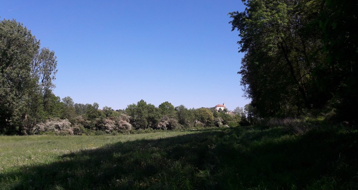 Grüne Wiese mit Bäumen und einem Gebäude im Hintergrund unter klarem, blauem Himmel., © Land der 1000 Hügel - Kraichgau-Stromberg Grüne Wiese mit Bäumen und einem Gebäude im Hintergrund unter klarem, blauem Himmel., © Land der 1000 Hügel - Kraichgau-Stromberg