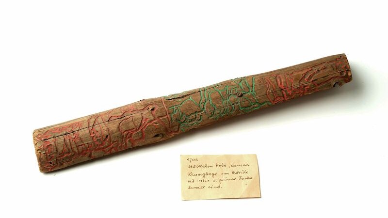 Ein bemalter Holzstab mit roten und gr&uuml;nen Linien, daneben ein handgeschriebener Zettel auf wei&szlig;em Hintergrund., &copy; Deutsches Literaturarchiv Marbach