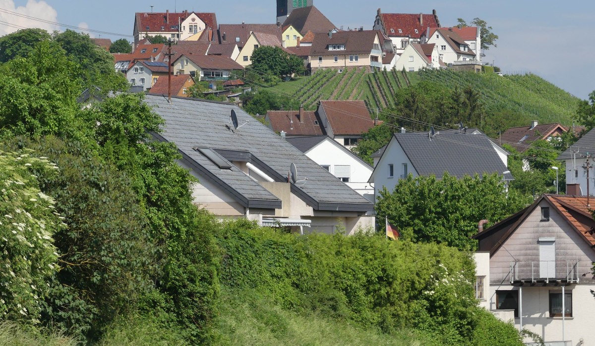 Häuser auf einem Hügel in Hohenhaslach, umgeben von Weinbergen und grüner Vegetation. Im Hintergrund ist ein Kirchturm sichtbar., © Stadt Sachsenheim Häuser auf einem Hügel in Hohenhaslach, umgeben von Weinbergen und grüner Vegetation. Im Hintergrund ist ein Kirchturm sichtbar., © Stadt Sachsenheim