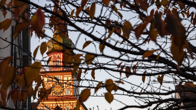Ein Turm mit einer Uhr ist durch herbstliche Bl&auml;tter hindurch sichtbar. Die Bl&auml;tter sind orange und gelb gef&auml;rbt, was auf den Herbst hinweist., &copy; Torsten Wenzler