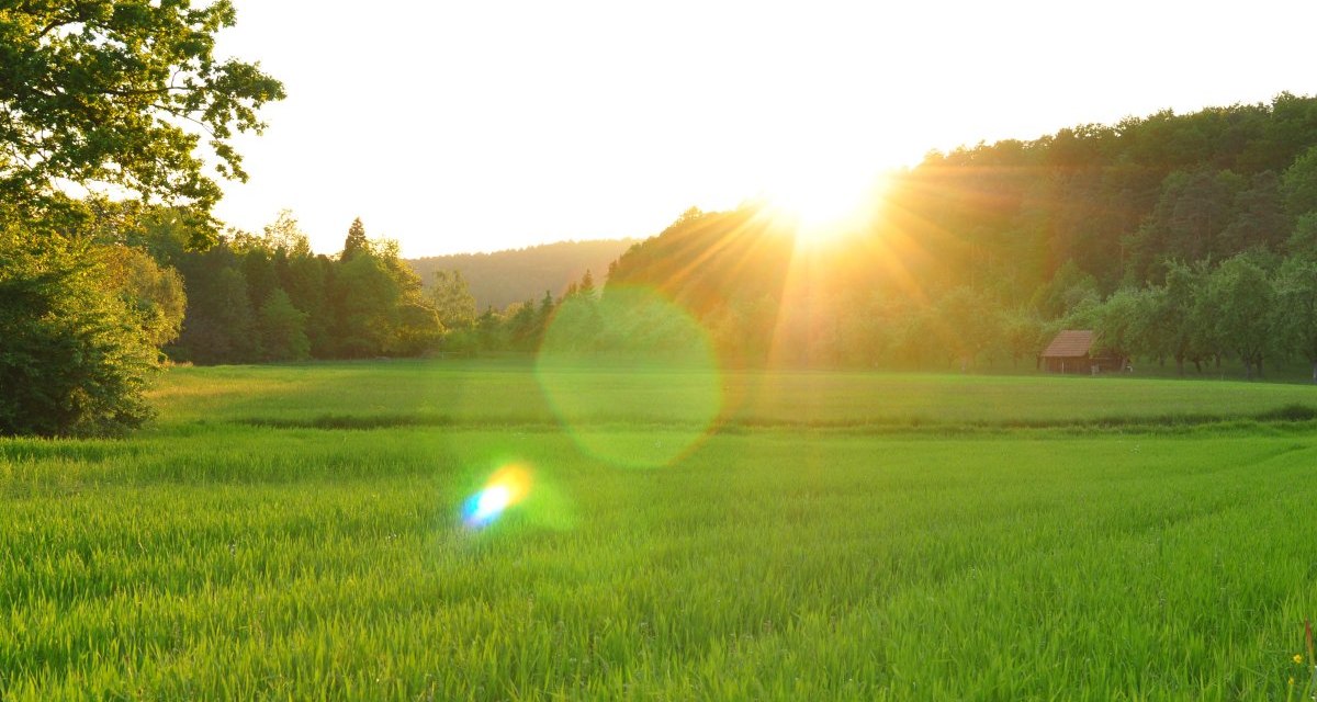 Sonnenuntergang über einer grünen Wiese, umgeben von Bäumen. Eine kleine Hütte steht am Horizont. Die Sonne strahlt hell am Himmel., © Stadt Schorndorf Sonnenuntergang über einer grünen Wiese, umgeben von Bäumen. Eine kleine Hütte steht am Horizont. Die Sonne strahlt hell am Himmel., © Stadt Schorndorf