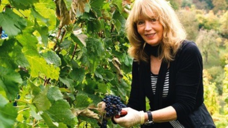 Eine Frau mit blonden Haaren erntet Trauben in einem grünen Weinberg. Sie trägt Handschuhe und lächelt in die Kamera., © Elsbeth Koch