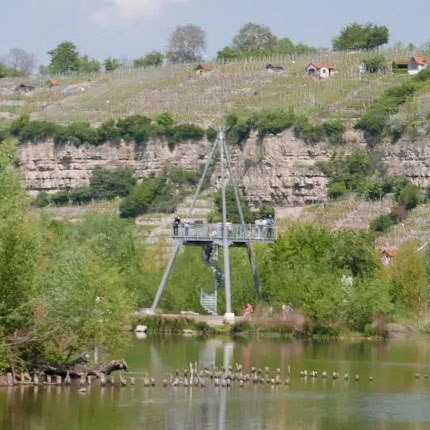 Aussichtsplattform im Neckarbiotop-Zugwiesen, umgeben von grüner Vegetation und Weinbergen im Hintergrund., © Die Zugvögel - Kanu-Tours und mehr Aussichtsplattform im Neckarbiotop-Zugwiesen, umgeben von grüner Vegetation und Weinbergen im Hintergrund., © Die Zugvögel - Kanu-Tours und mehr