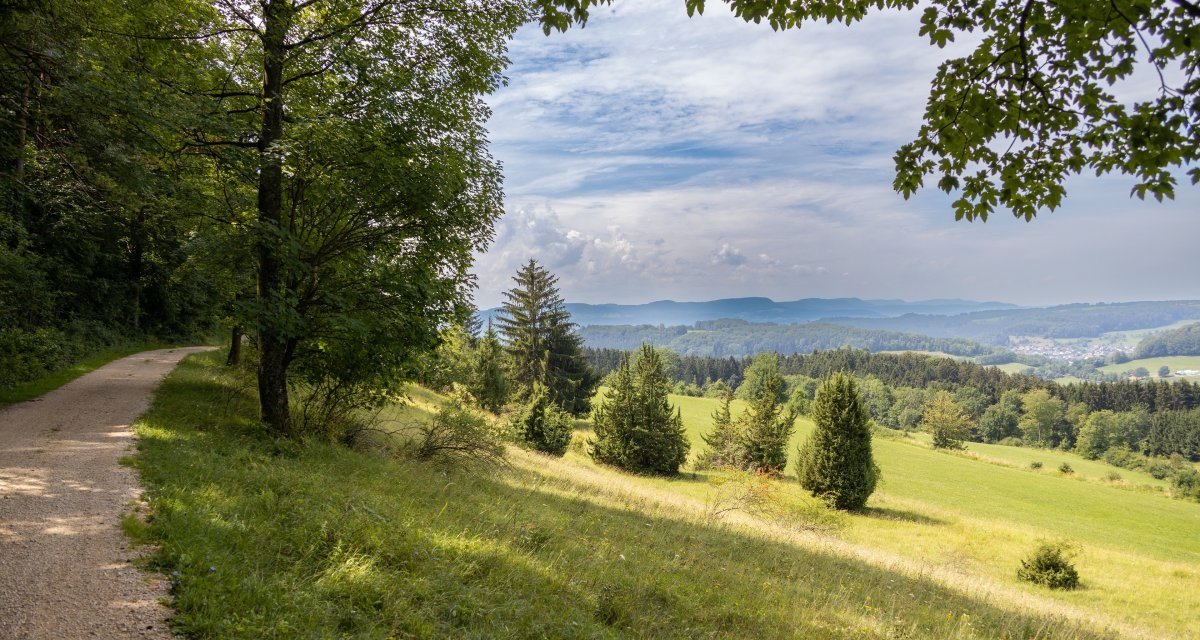 Ein Waldweg führt durch eine grüne Landschaft mit Bäumen und Hügeln. Der Himmel ist blau mit einigen Wolken., © Foto Thomas Zehnder Ein Waldweg führt durch eine grüne Landschaft mit Bäumen und Hügeln. Der Himmel ist blau mit einigen Wolken., © Foto Thomas Zehnder