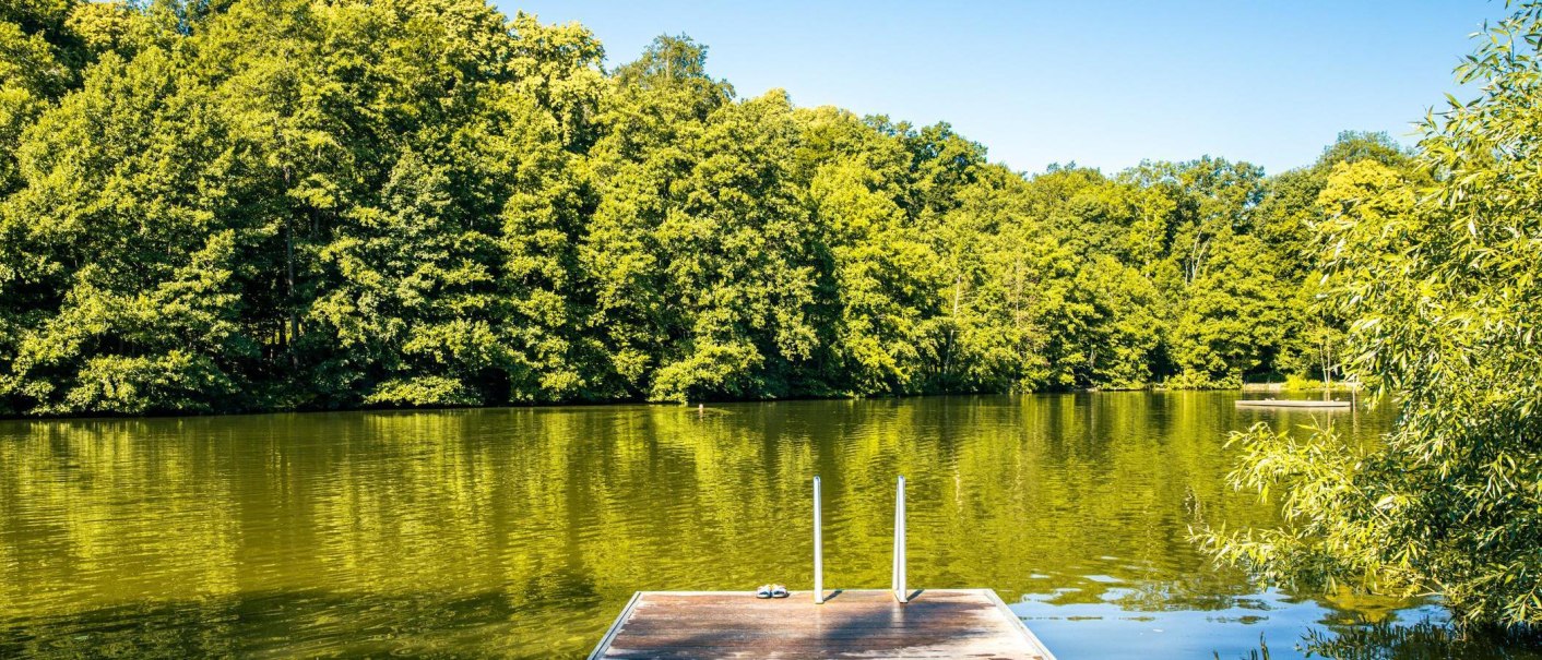 Ein ruhiger See mit einem Steg im Vordergrund, umgeben von dichtem Wald unter klarem Himmel., © Stuttgart-Marketing GmbH, Sarah Schmid Ein ruhiger See mit einem Steg im Vordergrund, umgeben von dichtem Wald unter klarem Himmel., © Stuttgart-Marketing GmbH, Sarah Schmid