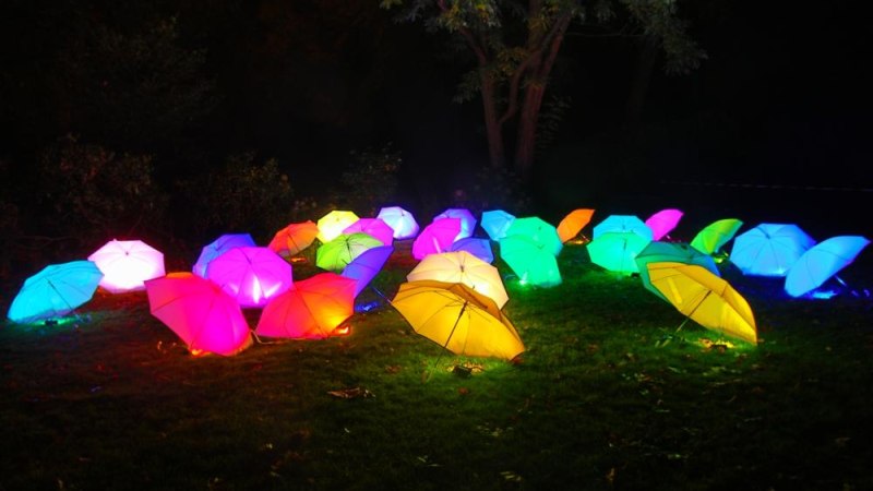 Leuchtende bunte Regenschirme liegen bei Nacht auf einer Wiese, umgeben von Bäumen. Die Schirme strahlen in verschiedenen Farben., © copyright: Marc Sansone Leuchtende bunte Regenschirme liegen bei Nacht auf einer Wiese, umgeben von Bäumen. Die Schirme strahlen in verschiedenen Farben., © copyright: Marc Sansone