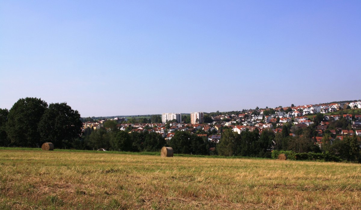 Ein Feld mit Heuballen im Vordergrund, dahinter eine Stadt mit Wohnhäusern und Bäumen unter klarem Himmel., © Natur.Nah. Schönbuch & Heckengäu Ein Feld mit Heuballen im Vordergrund, dahinter eine Stadt mit Wohnhäusern und Bäumen unter klarem Himmel., © Natur.Nah. Schönbuch & Heckengäu